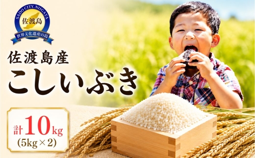 佐渡島産　こしいぶき　10kg（5kg×2）　令和7年産