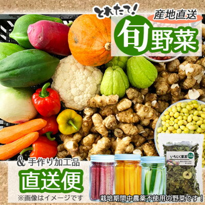 【ふるさと納税】〈2025年6月～8月発送 冷蔵便〉【東京都東久留米市】旬野菜と加工品のセット 10品以上【配送不可地域：離島】【1536310】