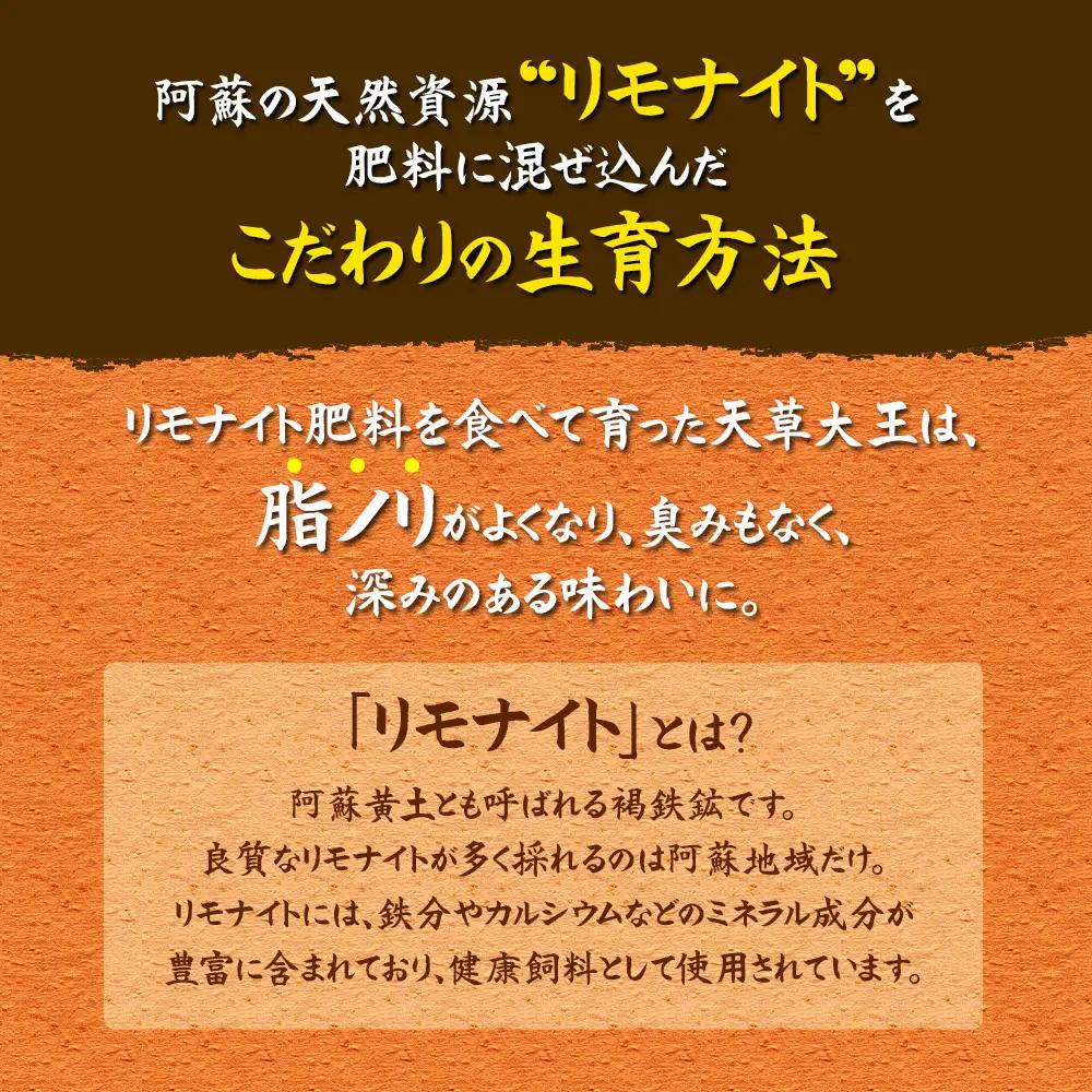 希少！くまもと地鶏　天草大王　一羽まるごとセット