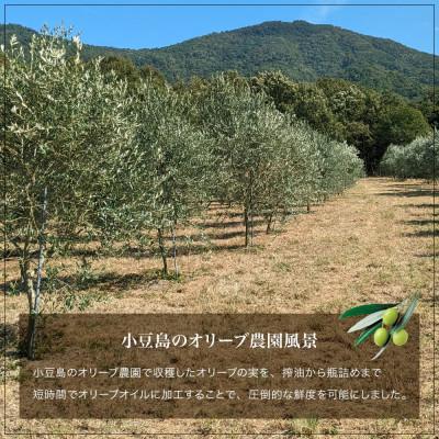 ふるさと納税 小豆島町 小豆島産100%エキストラバージン(EXV)オリーブオイル(150ml×3本入) |  | 02