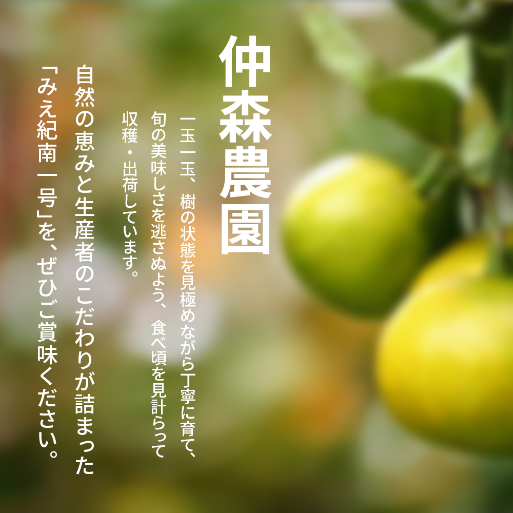 仲森農園の超極早生温州みかん みえ紀南一号 約7kg みかん ミカン 蜜柑 温州みかん 温州ミカン 柑橘 フルーツ 果物 くだもの 甘い 旬 数量限定 期間限定 産地直送 三重県 熊野市【2026年9