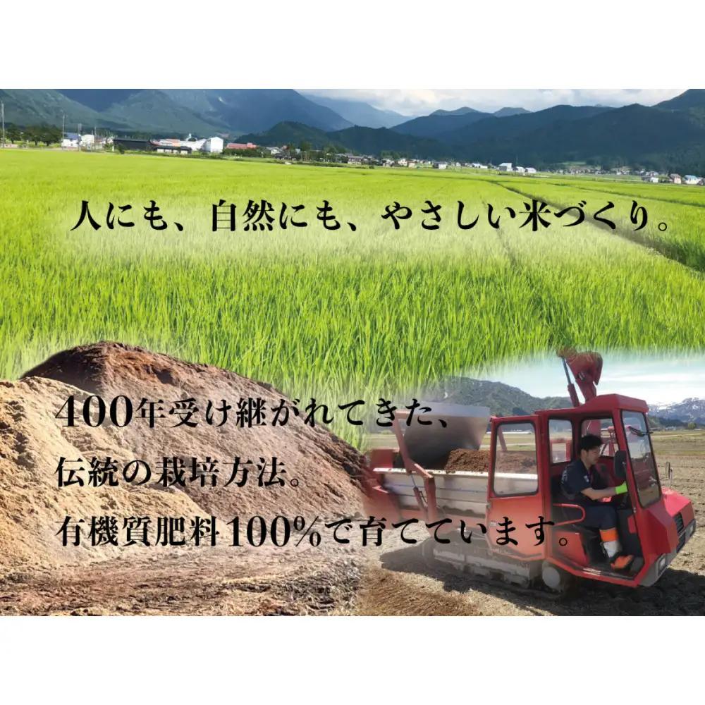 【令和８年新米予約】定期便全6回【南魚沼市食味コンテスト優秀賞】南魚沼産コシヒカリ 白米10kg(5kg×2) ｜薬師米｜コシヒカリ