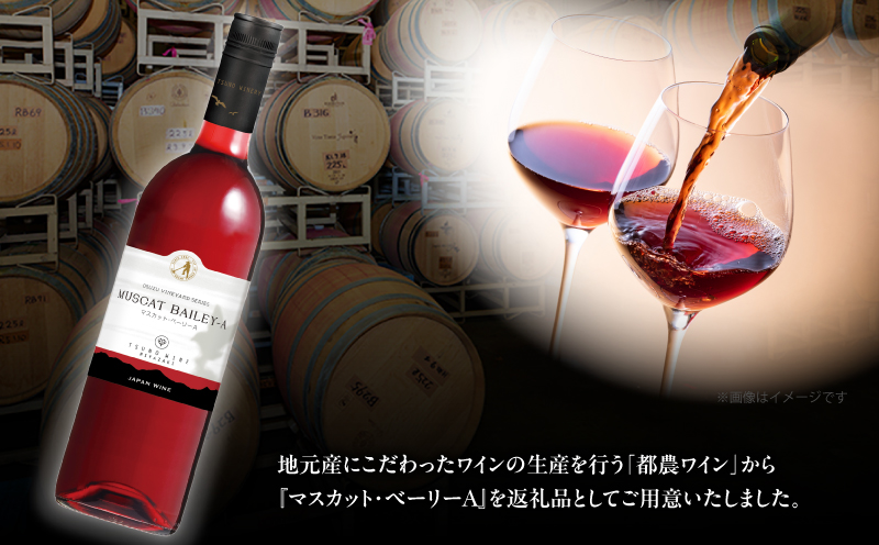 マスカット・ベーリーA 2本セット_T014-0545【人気 ギフト 飲料 食品 お酒 お土産 贈り物 送料無料 プレゼント  ワイン 酒 飲料 アルコール 国産】
