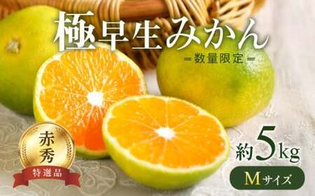 【2026年先行予約】 極早生みかん 5kg 赤秀 Мサイズ【ミカン 蜜柑 柑橘 温州みかん 有田みかん 贈答 ギフト わせみかん 和歌山】_BF6037n