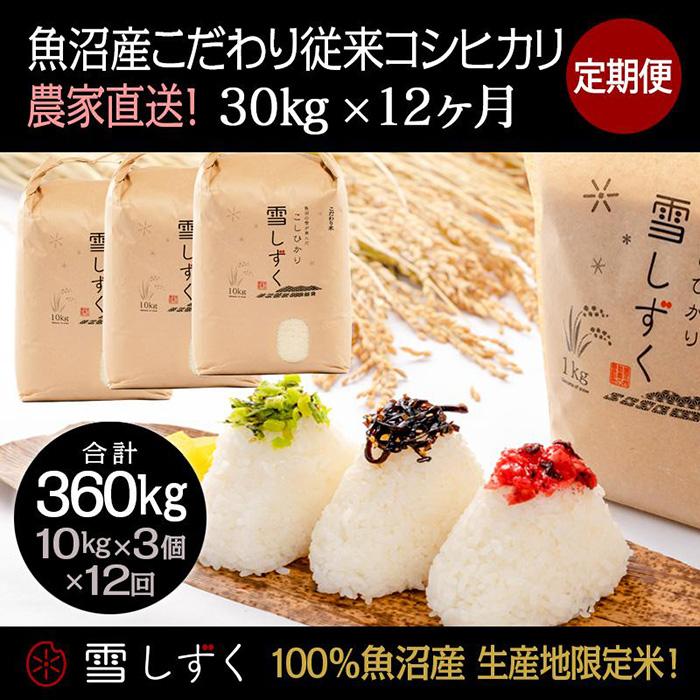 【ふるさと納税】【令和7年産】定期便！魚沼産こだわり従来コシヒカリ【合計360kg】毎月30kg×12回 ブランド米 銘柄米 白米 精米 ご飯 おにぎり お弁当 　お届け：10月以降より準備でき次第、寄付ご入金確認月の翌月より順次発送いたします