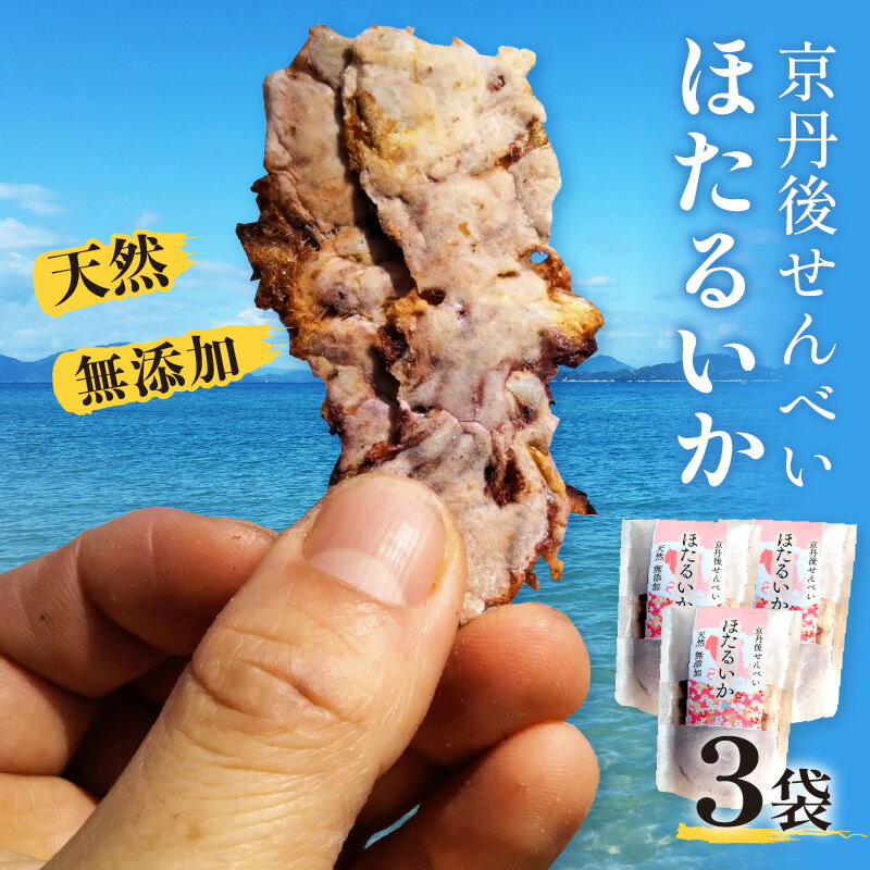 【ふるさと納税】コンクール受賞！ほたるいか姿焼き海鮮せんべい 3袋 10袋 京丹後の職人仕上げ◎贅沢なおつまみ・ギフトに人気 選べる 内容量 煎餅 せんべい 姿せんべい 姿煎餅 ほたるいか おやつ おつまみ