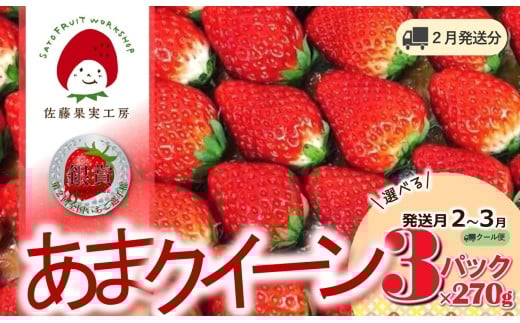 《2026年産先行予約》「西脇市産 佐藤果実工房 あまクイーン」（約270g×３パック 約810g）【佐藤果実工房 全国いちご選手権3年連続上位入賞農園 TVで紹介!】令和８年２月中旬配送分（09-46）