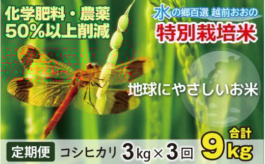 【令和5年産】【3ヶ月定期便】こしひかり 3kg × 3回 計 9kg【白米】減農薬・減化学肥料「特別栽培米」