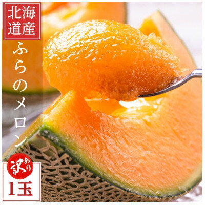 【ふるさと納税】2026年先行予約　【訳あり】厳選糖度15度前後 北海道富良野産メロン 1.6kg×1玉【1570118】