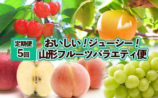 【定期便5回】おいしい！ジューシー！山形フルーツ　バラエティ定期便  FY25-821