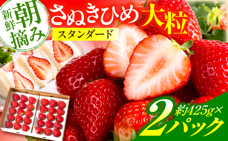【先行予約】苺音スタンダード～春の大粒のさぬきひめいちご～　約850ｇ | スイーツ いちご イチゴ ストロベリー さぬきひめ さぬき姫 苺 冷蔵 フルーツ 旬 果物 香川県 デザート 青果物 おすす