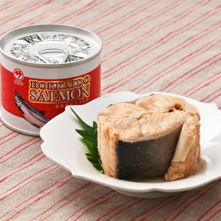 ＜笹谷商店＞北海道産さけ水煮缶10缶セット(からふとます)