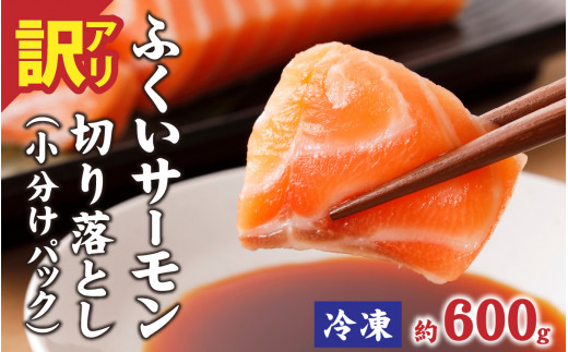 【訳あり】国産 ふくいサーモン 切り落とし（小分けパック）約600g [A-065060] / 訳アリ 鮭 刺身 切落し 切身 皮付き サーモン 小分け パック 刺し身 切り身 シャケ サケ 冷凍 弁当 フィレ ご当地 骨抜き 骨取り