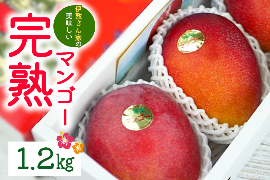 
                  【 先行予約 2026年 発送 】 伊敷さん家の美味しい 完熟マンゴー 1.2kg ( 贈答用 ) マンゴー 沖縄県産 マンゴー アップルマンゴー アーウィンマンゴー 果物 南国 くだもの フルーツ 完熟 夏 旬 沖縄 産地直送 農家直送 ギフト 贈答品 糸満市 
                