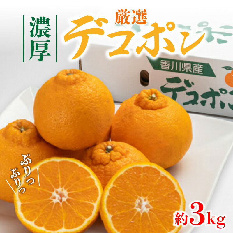 【ふるさと納税】 みかん デコポン 濃厚ぷりっぷりっデコポン 厳選 約3kg [ 不知火 フルーツ 果物 果実 濃厚 柑橘 デザート スイーツ 食品 国産 香川県 三豊市 お取り寄せ ギフト プレゼント 送料無料 北浜商店 ] 【2026年出荷】【配送不可地域：北海道・沖縄県・離島】
