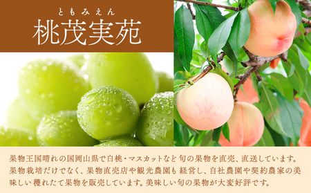 【2026年先行予約】桃 ぶどう 白桃 3玉 約900g（1玉約300g）シャインマスカット 晴王 1房 550g以上 もも 葡萄 詰合せ 岡山 国産 フルーツ 果物 ギフト 桃茂実苑《6月中旬-8月