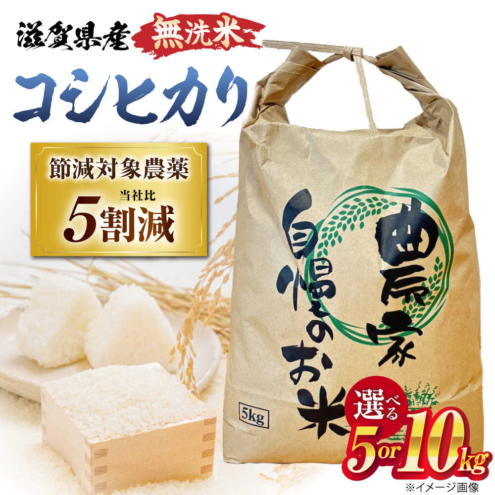 【ふるさと納税】スピード発送【令和7年度産】 無洗米 コシヒカリ 5kg~10kg 滋賀県長浜市/狩野農園[AQDK003] 無洗米 米 コシヒカリ 近江米 5kg 10kg 5キロ 10キロ 白米 滋賀県産 ブランド米 お米 精米 ごはん 米 おこめ こしひかり こめ 環境こだわり米 人気 おすすめ