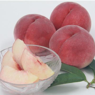 ふるさと納税 山梨市 【発送月固定定期便】フルーツ定期便全3回 |  | 02