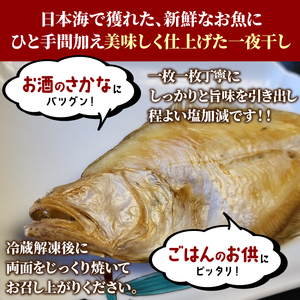 13-022 一夜干しナメタカレイ 12枚入り