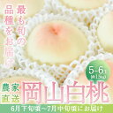 【ふるさと納税】桃 2024年 先行予約 旬 の 白桃 5～6玉入り 約1.5kg 贈答用 もも モモ 岡山県 赤磐市産 国産 フルーツ 果物 ギフト　【赤磐市】　お届け：2024年6月下旬～2024年7月中旬