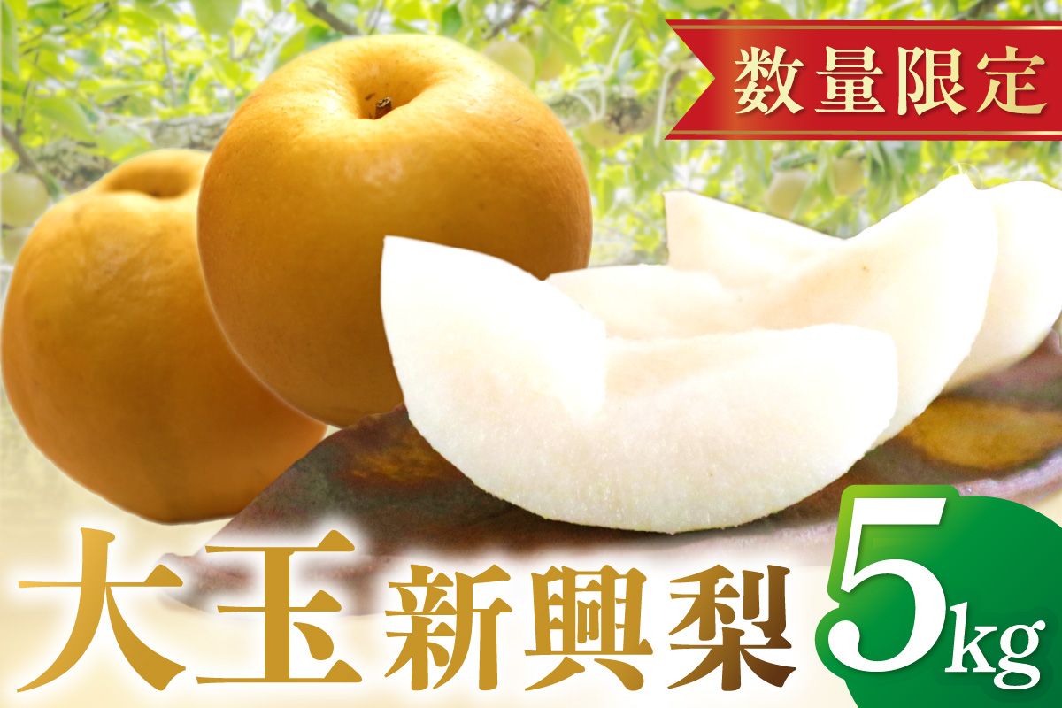 【先行予約／数量限定150】京丹後産・大玉 新興梨 5kg（6玉～10玉）（2026年10月中旬から発送）　JK00037