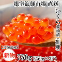 【ふるさと納税】いくら醤油漬け(秋鮭卵)(新物)250g×3P C-11058