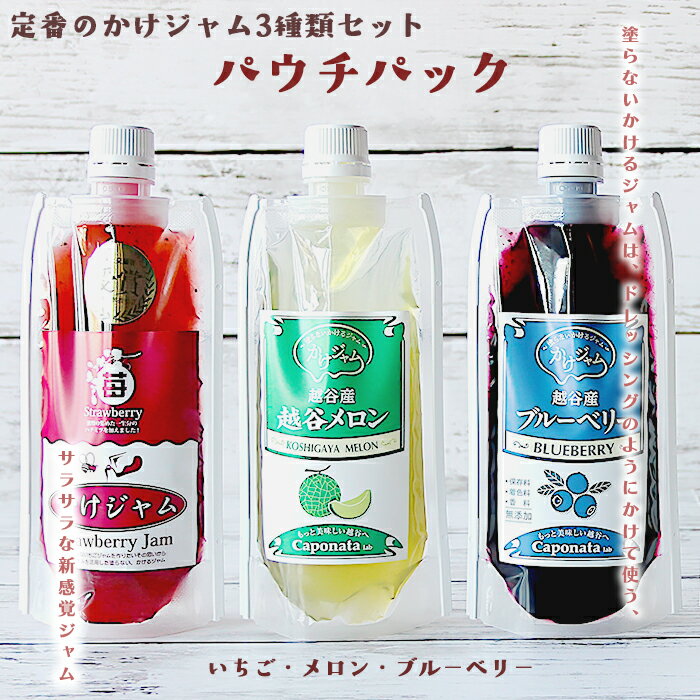 【ふるさと納税】定番のかけジャムパウチパック3種類セット ／ 掛けるジャム 新感覚 いちごジャム メロンジャム ブルーベリージャム 携帯 エコ容器 送料無料 埼玉県 No.245