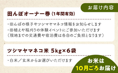 対馬 佐護 ツシマヤマネコ 米 田んぼオーナー1年券【ツシマヤマネコ米30kg付き】（対馬市）【一般社団法人MIT】 米作り体験 田植え 体験 稲刈り 離島 チケット 新米[WAP015]