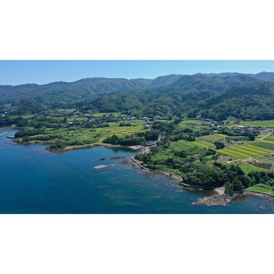 ＜食の宝島佐渡＞佐渡産 新之助 無洗米10kg（5kg×2）