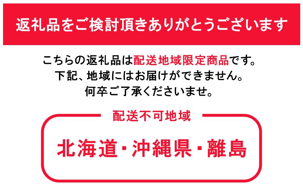 ぶどう 2024年 先行予約  ニュー ピオーネ 約400g×2房 ブドウ 葡萄  岡山県産 国産 フルーツ 果物 ギフト[No.5220-0940]