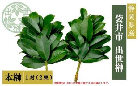 榊 出世榊 本榊 純国産 榊【1対(2束)】【定期便3ヶ月】
