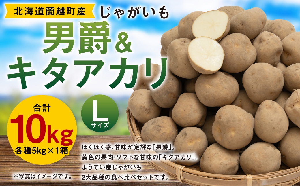 
                  じゃがいも （ 男爵 ） Lサイズ 約5kg × 1箱 ・ じゃがいも （ キタアカリ ） Lサイズ 約5kg × 1箱 （ JA ） 計約10kg ジャガイモ ポテト いも イモ 芋 男爵イモ 野菜 やさい 食べ比べ 詰め合わせ セット 国産 北海道産 【 2026年9月下旬～12月下旬迄発送予定 】
                