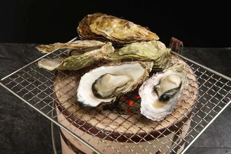 【発送時期が選べる】魚介類 牡蠣 / 山口水産の能登かき / 殻付き半缶[殻付き約35～40個]◇ | 訳あり 生活応援価格 ご家庭用 石川県 七尾市  ※2027年1月～発送