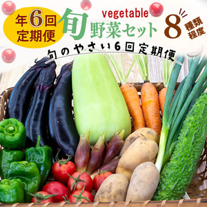 【 定期便 6回 】 野菜 8 種類 セット | お楽しみ やさい セット 旬 春 夏 秋 冬 採れたて 新鮮 農家 直送 詰め合わせ 国産 季節 フレッシュ きゅうり ピーマン なす トマト 大根 