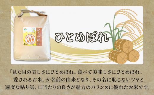 【定期便2回・毎月発送】宮城県いしのまき産米 5kg×2回 ひ