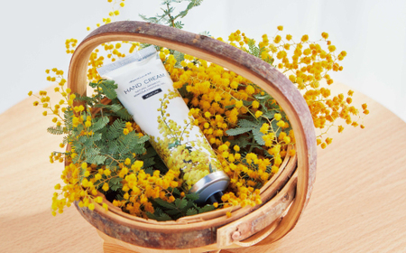 【 ミアミモザ 】【 ギフト箱入 】ミアミモザ ハンドクリーム 50g 1本 化粧箱 ギフト箱 ミモザ が ふんわり 柔らかく香る ギフト プレゼント 贈答 美容 コスメ スキンケア クリーム 天然ア