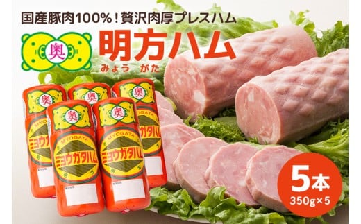 明方ハム　5本セット│国産 豚肉 肉 惣菜 おかず 弁当 おつまみ ステーキ
