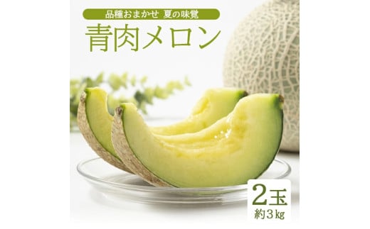 SA2626　庄内砂丘 『品種おまかせ青肉メロン』　約3kg(2玉入)　　　　　　