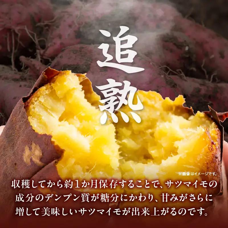 【定期便4ヶ月】さつまいも 金時 1.8kg・H128