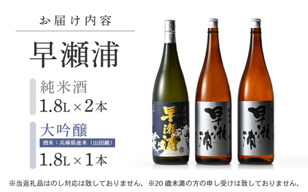 入手困難【早瀬浦】大吟醸 1800ml × 1本 ＆ 純米酒 1800ml × 2本 セット【飲み比べ 日本酒 地酒 福井 美浜 早瀬 フルーティ 男酒 硬水 ミネラル 希少 ご褒美 家飲み】[m16