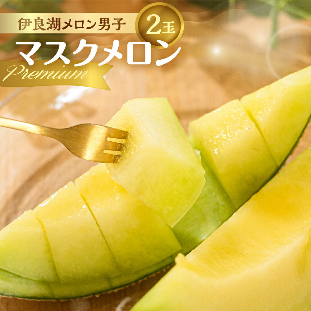 【ふるさと納税】 ＼先行予約／ 伊良湖産 厳選 マスクメロン premium 2玉 箱詰め メロン フルーツ プレミアム 果物 お取り寄せ ギフト 渥美半島 田原市 伊良湖メロン男子 産地直送 送料無料 メロン 糖度 メロン 青肉