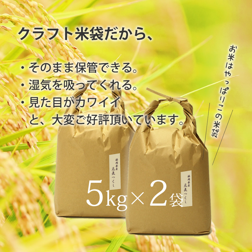 福岡県産【特A】評価のお米「元気つくし」5kg×2袋[10kg][玄米]【059-0068】