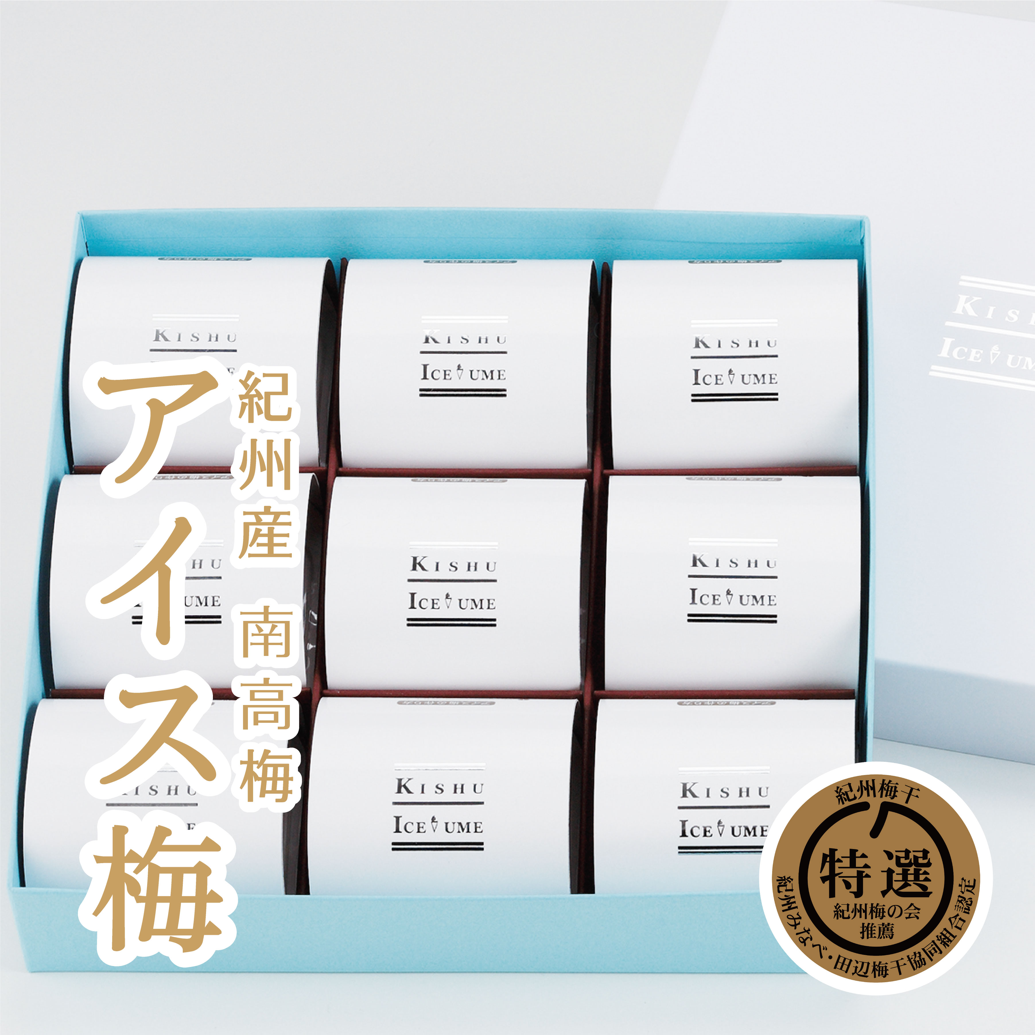 【ふるさと納税】紀州アイス梅（9粒）紀州産南高梅