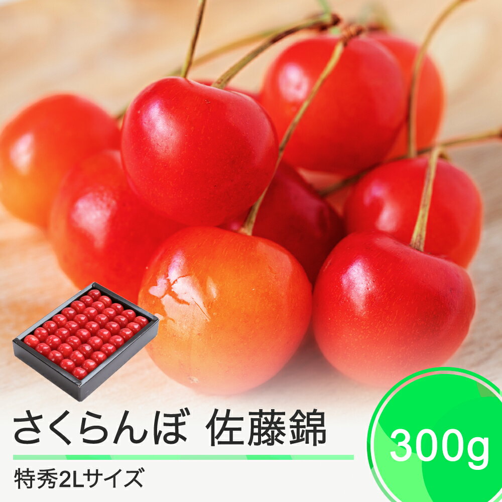 【ふるさと納税】 さくらんぼ 佐藤錦 6月中旬〜下旬発送 特秀2Lサイズ プレゼント ギフト 化粧箱鏡詰め 300g 2025年産 山形県産 送料無料 サクランボ