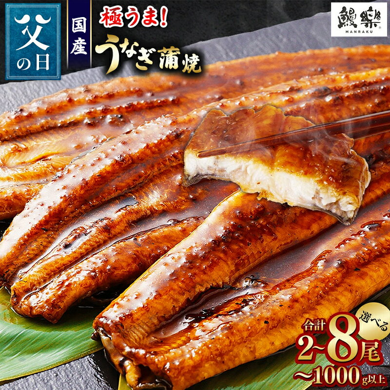 【ふるさと納税】《父の日》うなぎ 国産 鰻 蒲焼 （2尾～ 8尾） 人気 小分け ウナギ unagi 丑の日 宮崎 高鍋町 鰻楽 ランキング 送料無料 簡単 調理 家庭用 おかず【TVで話題沸騰！】