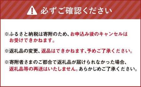 クラフトスパイス Crispy 2個セット （40g×2個） 計80g ／ スパイス ハーブ 調味料 料理 調理 北海道 北広島市 常温
