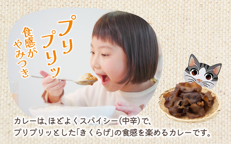 灰猫のきくらげカレー　１セット／１８０g５袋／レトルトカレー