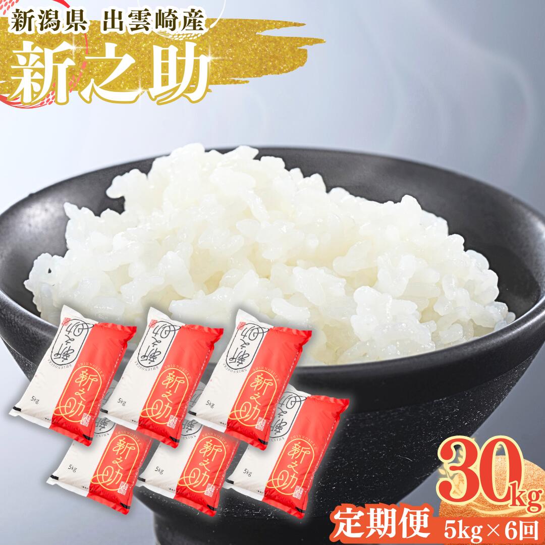 【ふるさと納税】【令和7年産新米】 「新之助」 定期便 5kg 6か月 毎月 新潟県産 出雲崎町産 白米 精米 お米 合計30kg