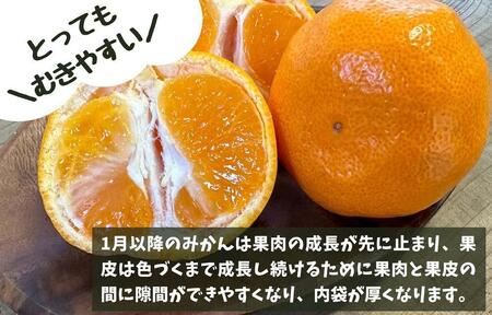 ［先行予約］熟成 みかん 箱込5kg ( 内容量 4.4kg ) SMLサイズのいずれか 秀品 優品 混合 和歌山県産 産地直送 贈答用 ［みかんの会］