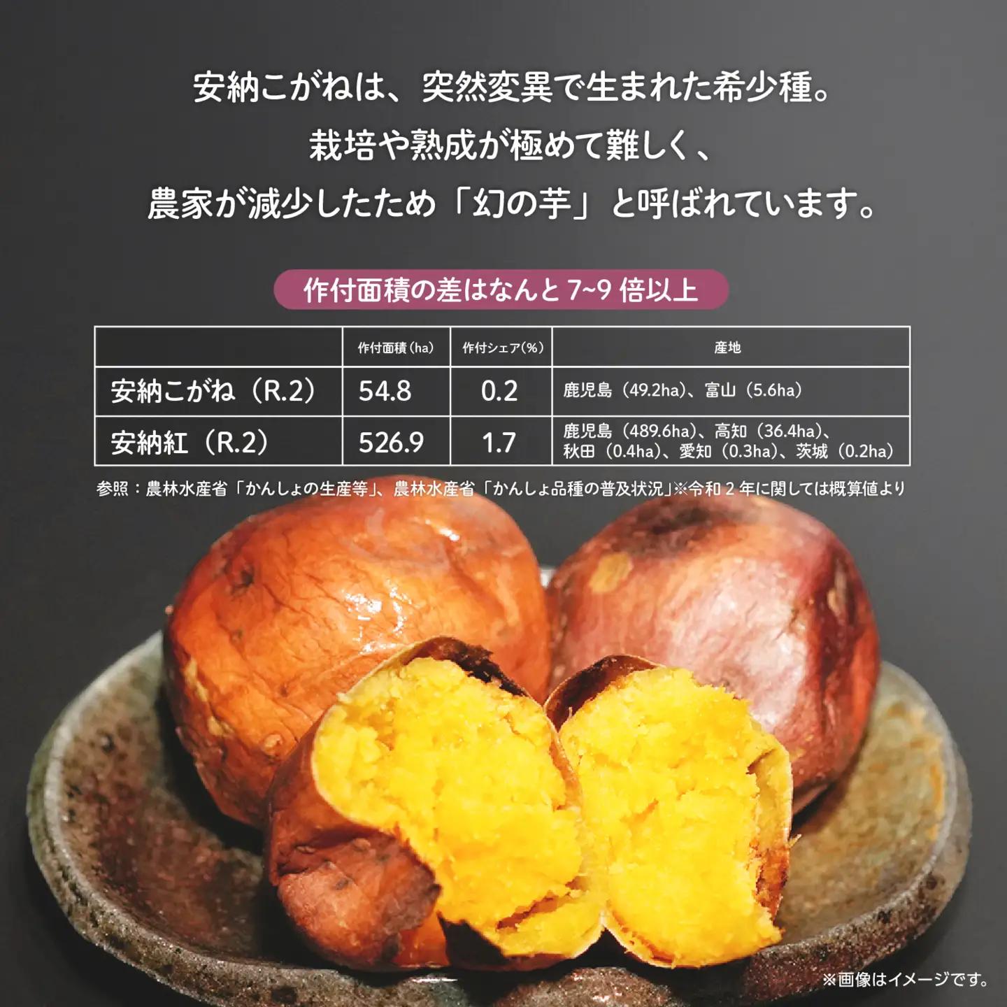 冷凍焼き芋（安納こがね）約２kg【南種子町観光物産館 トンミー市場】